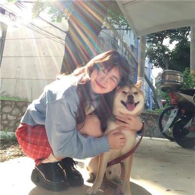 龙珠：巴达克之章